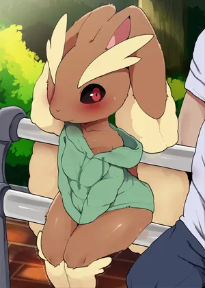 [DAGASI] Pokemon - Lopunny Set